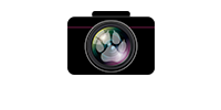 Pawprint Photographics